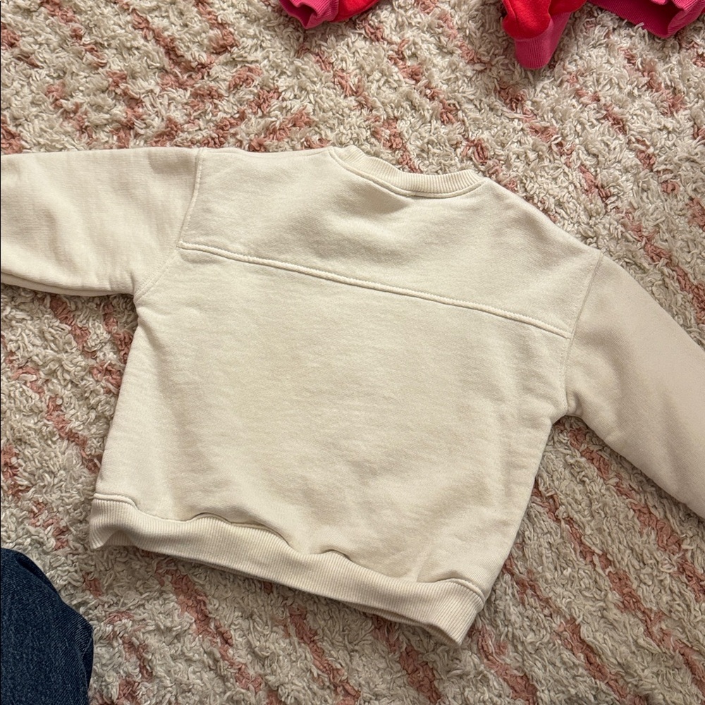 Pack of 4 - Trendy 3T sweatshirts - barely worn - Picture 7 of 9